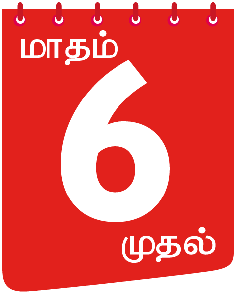 6 months